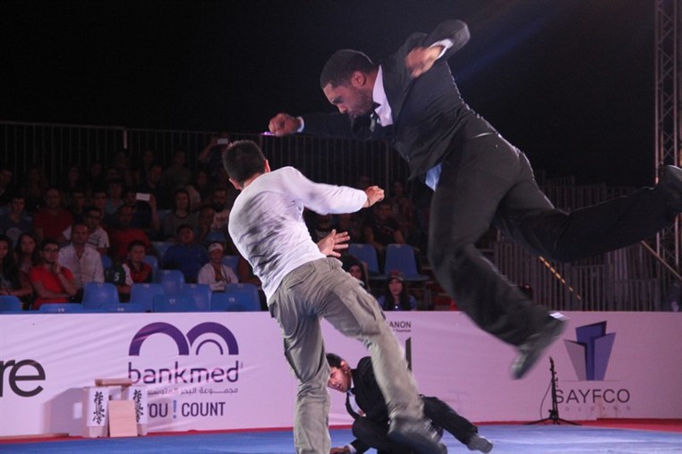 Martial Arts Festival